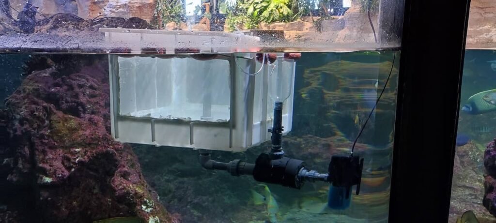 Imagen de detalle del recolector en las instalaciones del Acquario di Genova (Italia) donde se realizaron con éxito las pruebas experimentales. 