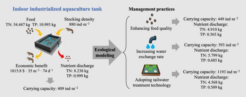 Resumen gráfico del estudio. Fuente: Jiang et al. (2026); Aquaculture, 613, 743453.