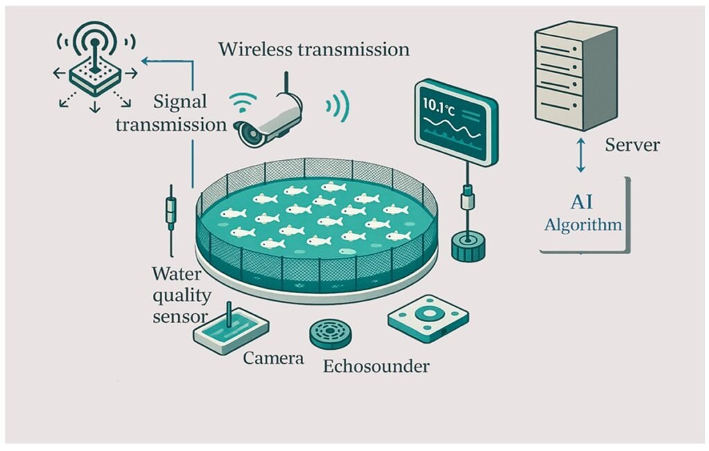 Ejemplo de una granja acuícola inteligente. Fuente: D’Agaro, E. (2025). Applied Sciences, 15(23), 12638.
