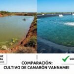 Estudio comparó los estanques de tierra con estanques recubiertos con HDPE. Imagen elaborada por Nanobanana.