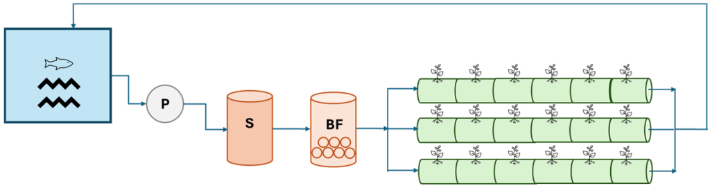 Esquema del proceso de acuaponía (P: bomba; S: tanque sedimentador; BF: biofiltro). Fuente: Espada et al. (2016); Applied Sciences, 16(2), 635.