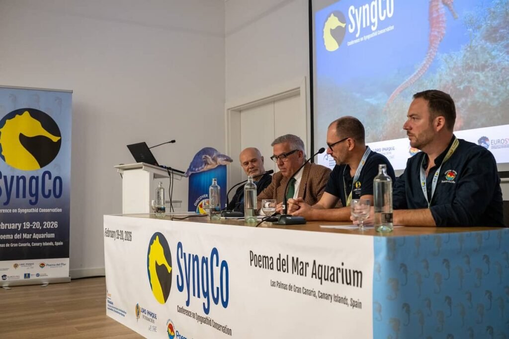 Instante de la inauguración de SyngCo. De izquierda a derecha, José Juan Castro, investigador del grupo Biodiversidad y Conservación (BIOCON) del Instituto Universitario ECOAQUA y profesor de Zoología y director del departamento de Biología de la Universidad de Las Palmas de Gran Canaria (ULPGC), Lluís Serra, Rector de la Universidad de Las Palmas de Gran Canaria (ULPGC), Martin Böye, director Científico Marino de la Fundación Loro Parque, y Ángel Curros, director de Biología en Poema del Mar Aquarium.