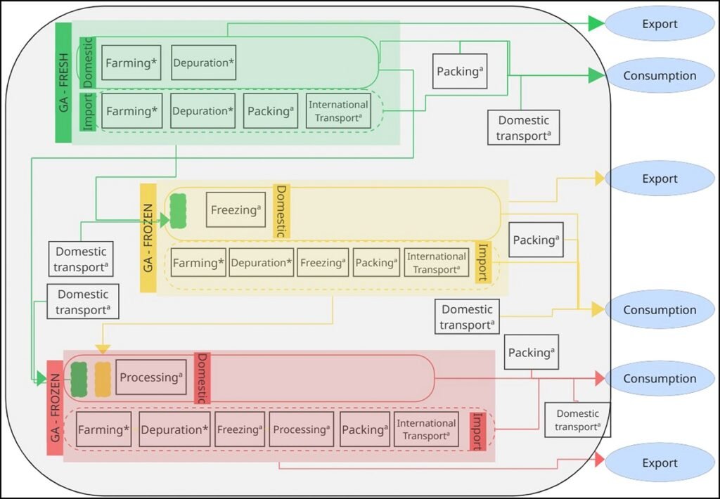 Diagrama del sistema de producción y procesamiento de mejillón analizado. Fuente: Saralegui-Díez et al. (2026); Resources, Conservation and Recycling, 227, 108742.