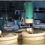 Comederos de artemia conectados por una línea aérea común. Fuente: Treft et al. (2026); World Journal of Engineering and Technology, 14, 261-269.