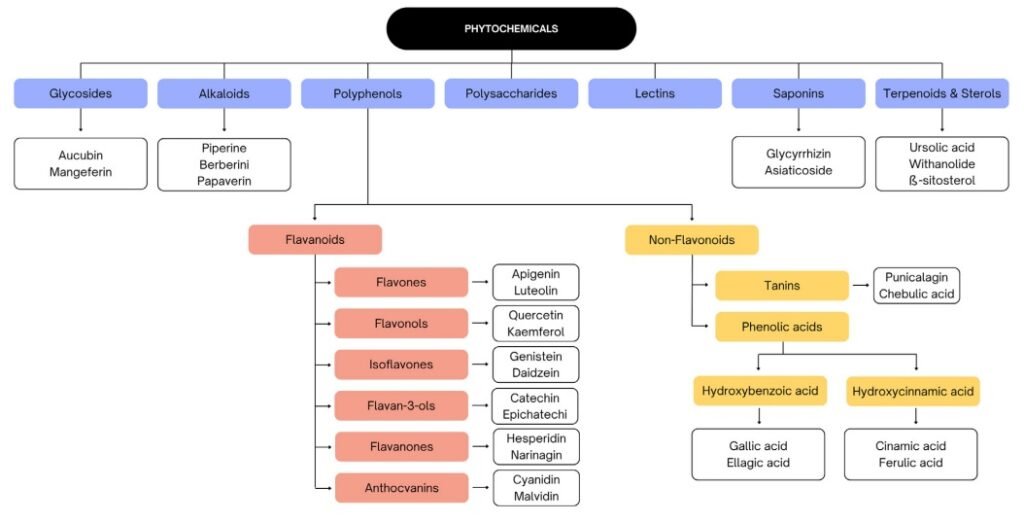 Clasificación de los principales compuestos fitoquímicos. Fuente: Brito et al. (2026). Aquatic Living Resources, 39, 3. 