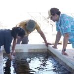 Acuyminagro-bandejas-semilla