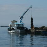 Cultivo de mejillón. Fuente: CSIC.