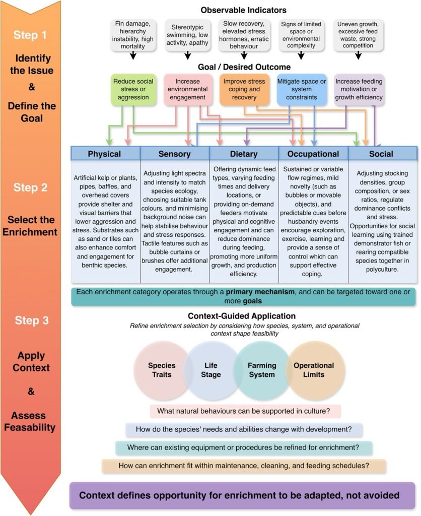 Goal-oriented framework for implementing environmental enrichment in aquaculture. Source: Spiliopoulos et al. (2026). Reviews in Aquaculture, 18(2), e70142.