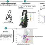 Explicación esquemática de los pasos básicos del modelo Parti-MOSA. Fuente: Perera et al. (2026); Ecological Informatics, 94, 103615.