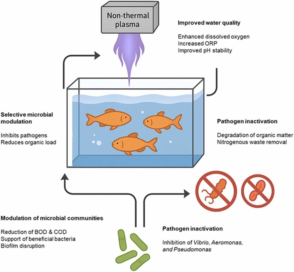 Efectos del NTP en la calidad del agua y las comunidades microbianas en sistemas de acuicultura. Fuente: Chandimali et al. (2026); Aquaculture Reports, 48, 103588.