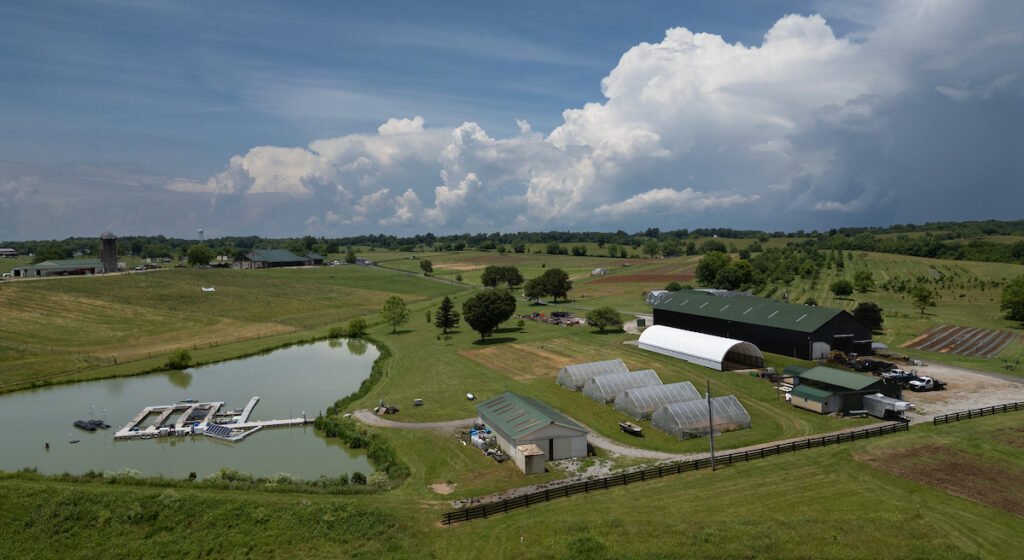 Granja Bensom KYSU.