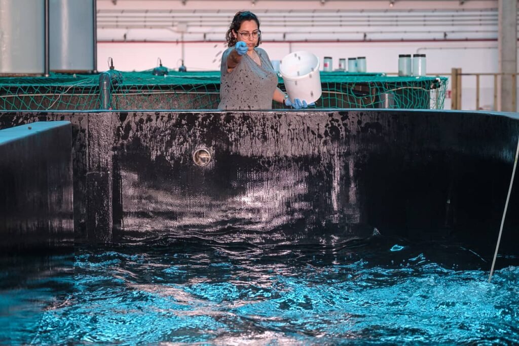 Tanque de acuicultura en el Parque Cientifico Tecnologico Marino de Taliarte.