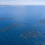 SIRENA 2: Inteligencia Artificial y tecnología autónoma marina para proteger la acuicultura en Canarias Jaulas-marinas-canarias