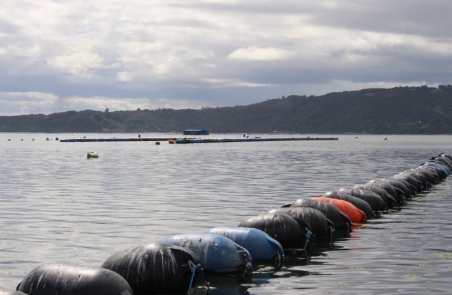 Mussel longline culture systems. Courtesy of INCAR.