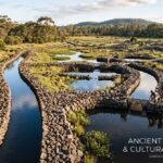Budj-bim-ancient-aquaculture