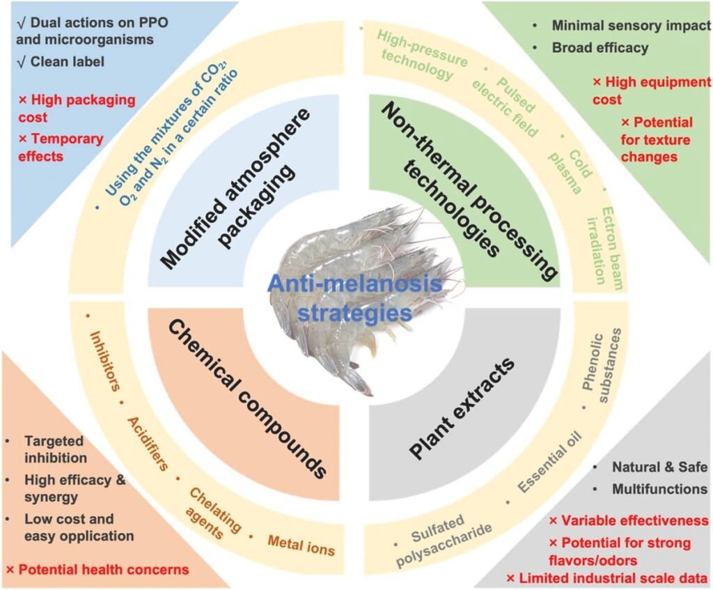 Principales estrategias y sus desventajas/ventajas para inhibir la melanosis del camarón durante el almacenamiento. Fuente: Lin et al. (2026); Food Bioscience, 79, 108867.