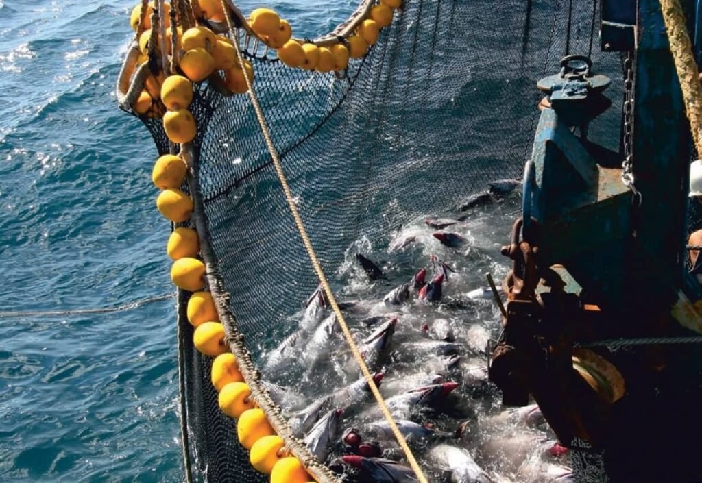 Garware Technical Fibres Ltd. will showcase its latest trawl and purse seine netting technologies in Europe.