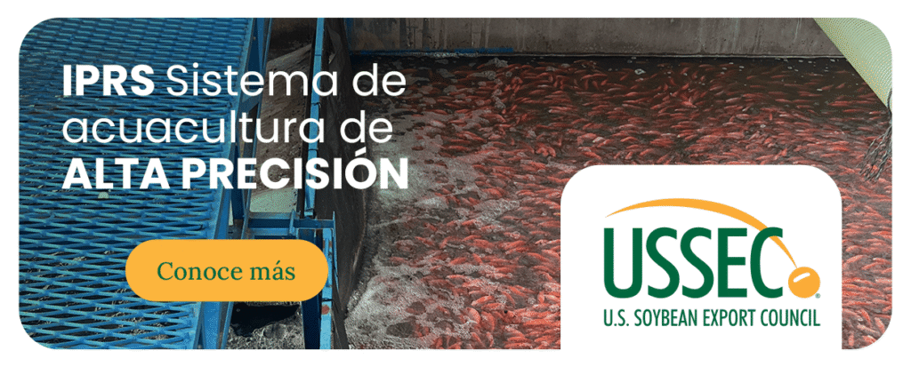 Vista de un canal IPRS: Sistema de producción intensiva con aireación continua para el cultivo de peces a alta densidad, impulsado por el U.S. Soybean Export Council (USSEC).