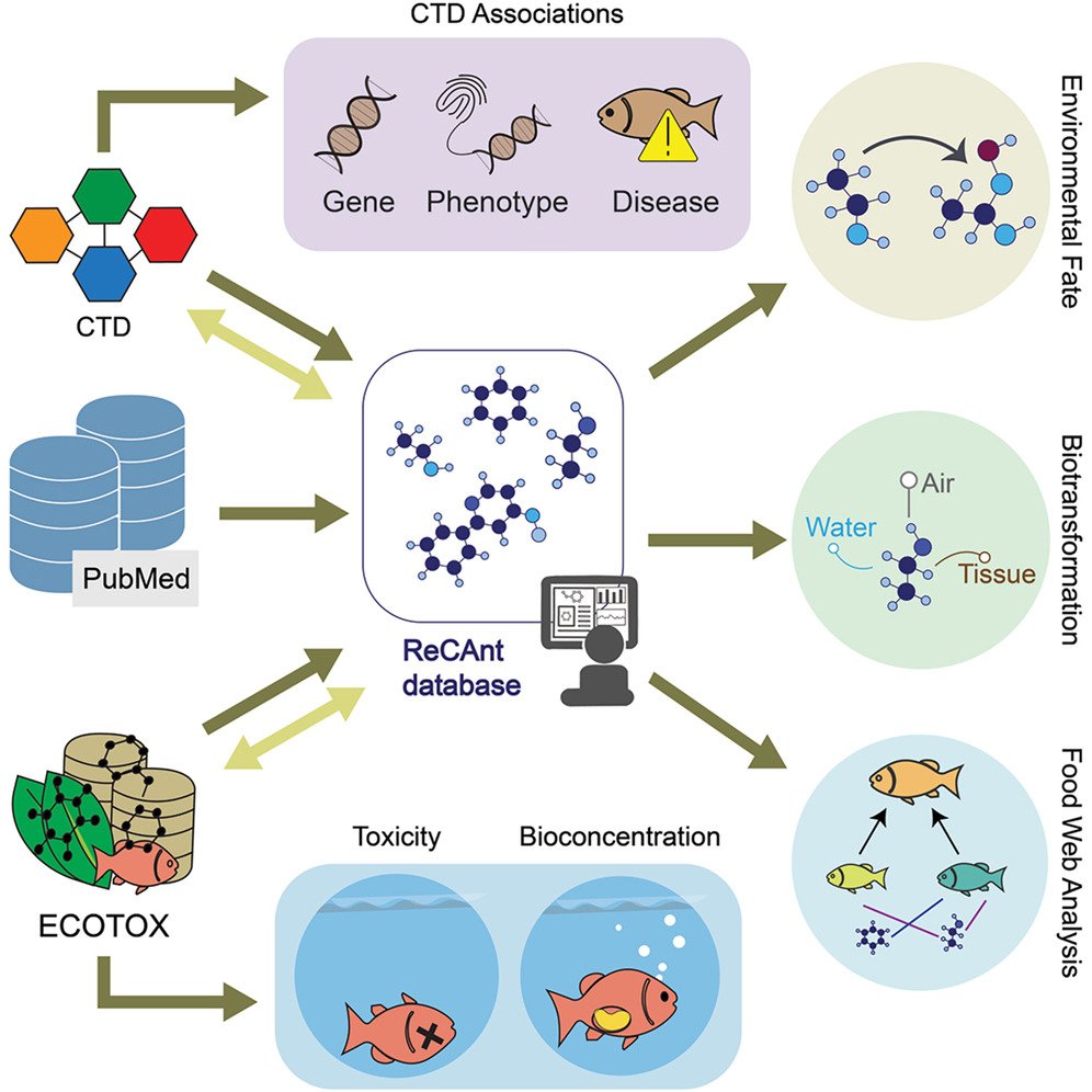 Resumen gráfico del estudio. Fuente: Madgaonkar et al. (2026); Cell Reports Sustainability.