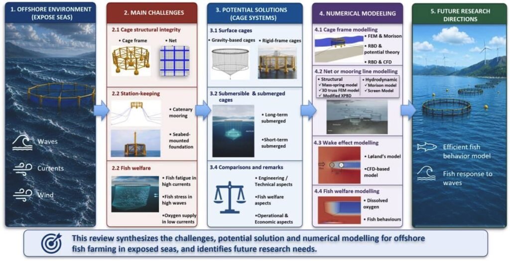 Resumen gráfico del estudio. Fuente: Wen y Ong (2026); Ocean Engineering, 365, 127291.