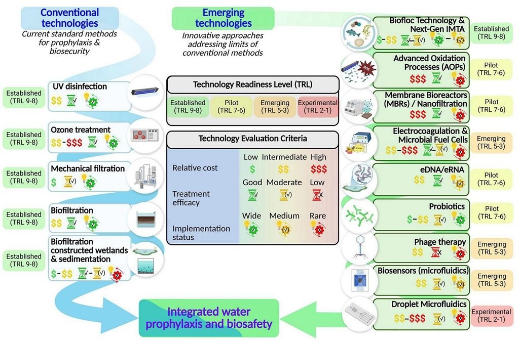 Vía conceptual de apoyo a la toma de decisiones para la profilaxis del agua y la gestión de la bioseguridad en la acuicultura de peces. Creado en BioRender. Bartkova, S. (2026) https://BioRender.com/fj95hef.
